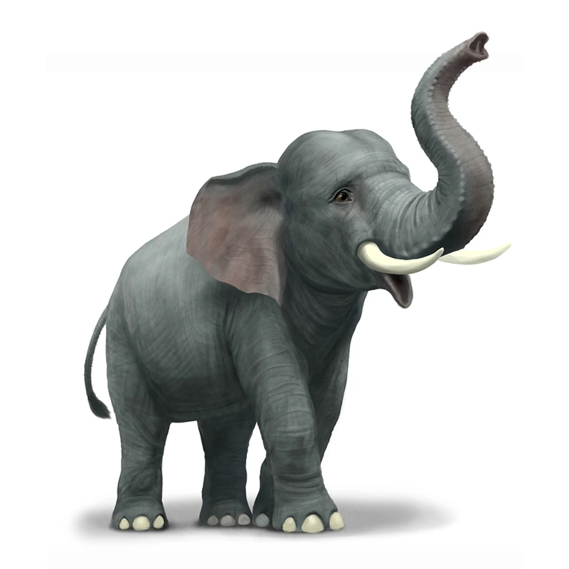 原画培训_游戏原画暑假班_插画培训_插画原画教程_游戏ui培训_成都